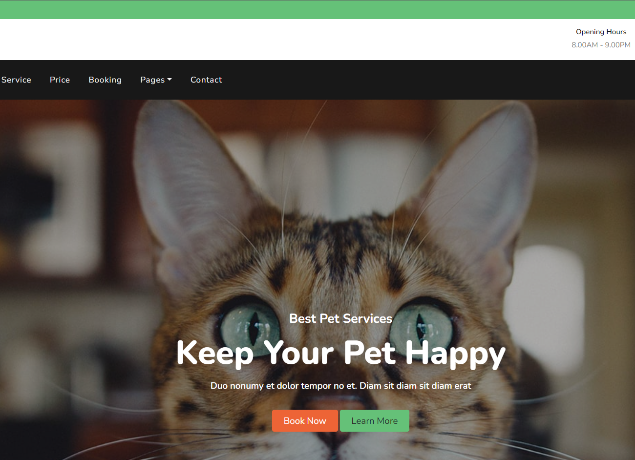 PetLover 宠物美容店网站模板